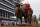 Sierra Leone battles Forever Young down the stretch of the Kentucky Derby