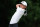 ARLINGTON, TEXAS - APRIL 25: Miles Russell of the United States hits a tee shot on the third holeduring the first round of the Veritex Bank Championship at Texas Rangers Golf Club on April 25, 2024 in Arlington, Texas. (Photo by Sam Hodde/Getty Images)