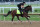 LOUISVILLE, KENTUCKY - APRIL 28: Dornoch runs on the track during the morning training for the Kentucky Derby at Churchill Downs on April 28, 2024 in Louisville, Kentucky.  (Photo by Andy Lyons/Getty Images)