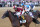 Dornoch and jockey Luis Saez