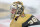 LAS VEGAS, NEVADA - APRIL 29: Logan Thompson #36 of the Vegas Golden Knights warms up prior to Game Four of the First Round of the 2024 Stanley Cup Playoffs against the Dallas Stars at T-Mobile Arena on April 29, 2024 in Las Vegas, Nevada. (Photo by Zak Krill/NHLI via Getty Images)