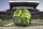 EUGENE, OREGON - NOVEMBER 24: An Oregon Ducks helmet on the field at Autzen Stadium before the football game between the Oregon Ducks and the Oregon State Beavers at Autzen Stadium November 24, 2023 in Eugene, Oregon. (Photo by Tom Hauck/Getty Images)