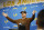 Costa Mesa, CA - June 13: Chargers Head Coach Jim Harbaugh speaks during a press conference at the Chargers mini camp at Hoag Performance Center in Costa Mesa Thursday, June 13, 2024. (Allen J. Schaben / Los Angeles Times via Getty Images)
