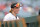 ANAHEIM, CALIFORNIA - APRIL 24: Jackson Holliday #7 of the Baltimore Orioles looks on from the dugout against the Los Angeles Angels at Angel Stadium of Anaheim on April 24, 2024 in Anaheim, California. (Photo by Jayne Kamin-Oncea/Getty Images)