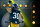 PITTSBURGH, PA - NOVEMBER 12:  Jaylen Warren #30 of the Pittsburgh Steelers in action against the Green Bay Packers on November 12, 2023 at Acrisure Stadium in Pittsburgh, Pennsylvania.  (Photo by Justin K. Aller/Getty Images)