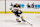 WINDSOR, ONTARIO - JANUARY 19: Forward Malcolm Spence #17 of the Erie Otters moves againt the Windsor Spitfires at the WFCU Centre on January 19, 2023 in Windsor, Ontario, Canada. (Photo by Dennis Pajot/Getty Images)