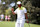 MEMPHIS, TN – AUGUST 18: Hideki Matsuyama (JAP) waves to the crowd after making a 38-foot birdie putt on the 8th hole during the final round of the 2024 FedEx St. Jude Championship at TPC Southwind on August 18, 2024 in Memphis, Tennessee. (Photo by Michael Wade/Icon Sportswire via Getty Images)