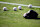 ANAHEIM, CALIFORNIA - AUGUST 1: A detailed view of baseballs on the field before the game between the Los Angeles Angels and the Colorado Rockies at Angel Stadium of Anaheim on August 1, 2024 in Anaheim, California. (Photo by Orlando Ramirez/Getty Images)