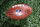 DETROIT, MI - AUGUST 24:  A practice ball with the NFL logo is seen on the field during the first quarter of an NFL preseason football game between the Pittsburgh Steelers and the Detroit Lions on August 24, 2024 at Ford Field in Detroit, Michigan.  (Photo by Scott W. Grau/Icon Sportswire via Getty Images)