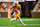 KNOXVILLE, TN - SEPTEMBER 14: Tennessee Volunteers quarterback Nico Iamaleava (8) scrambles out of the pocket during the college football game between the Tennessee Volunteers and the Kent State Golden Flashes on September 14, 2024, at Neyland Stadium in Knoxville, TN. (Photo by Bryan Lynn/Icon Sportswire via Getty Images)