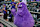 DENVER, COLORADO - AUGUST 16: A performer looks on in the costume of McDonaldland mascot Grimace before a game between the Colorado Rockies and the San Diego Padres at Coors Field on August 16, 2024 in Denver, Colorado. (Photo by Dustin Bradford/Getty Images)