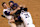 4 Nov 2001: Craig Counsell #4, Luis Gonzalez #20, Curt Schilling #38 and David Dellucci #36 of the Arizona Diamondbacks celebrate defeating the New York Yankees to win game seven of the Major League Baseball World Series at Bank One Ballpark in Phoenix, Arizona. DIGITAL IMAGE. Mandatory Credit: Matthew Stockman/ALLSPORT
