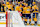 NASHVILLE, TENNESSEE - OCTOBER 17: Jonathan Marchessault #81 celebrates his goal with Roman Josi #59. Filip Forsberg #9, Ryan O'Reilly #90 and Steven Stamkos #91 of the Nashville Predators against the Edmonton Oilers during an NHL game at Bridgestone Arena on October 17, 2024 in Nashville, Tennessee. (Photo by John Russell/NHLI via Getty Images)