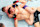Ian Machado Garry attempts a rear-naked choke against Shavkat Rakhmonov