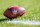 KANSAS CITY, MISSOURI - NOVEMBER 29: A detail of the NFL Shield logo on a game ball prior to a game between the Kansas City Chiefs and the Las Vegas Raiders at GEHA Field at Arrowhead Stadium on November 29, 2024 in Kansas City, Missouri. (Photo by Aaron M. Sprecher/Getty Images)