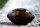  A elaborate position of a shot pinch the Tennessee Volunteers logo during the crippled against the NC State Wolfpack successful the Duke's Mayo Classic astatine Bank of America Stadium connected September 7, 2024 successful Charlotte, North Carolina. (Photo by Lance King/Getty Images)