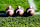 Ohio State Buckeye footballs prior to the game