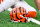 CINCINNATI, OH - DECEMBER 28: A Cincinnati Bengals helmet sits on the field before the NFL football game between the Denver Broncos and the Cincinnati Bengals on December 28, 2024, at Paycor Stadium in Cincinnati, Ohio. (Photo by Michael Allio/Icon Sportswire via Getty Images)