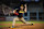 LOS ANGELES, CALIFORNIA - OCTOBER 11: Tanner Scott #66 of the San Diego Padres pitches in the eighth inning of game five of the National League Divisional Series against the Los Angeles Dodgers at Dodger Stadium on October 11, 2024, in Los Angeles, California. (Photo by Matt Thomas/San Diego Padres/Getty Images)