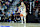 UNCASVILLE, CT - DECEMBER 17: UConn Huskies guard Paige Bueckers (5) dribbles the ball up court during the 2024 college Basketball Hall of Fame Women's Showcase game between Iowa State Cyclones and UConn Huskies on December 17, 2024, at Mohegan Sun Arena in Uncasville, CT. (Photo by M. Anthony Nesmith/Icon Sportswire via Getty Images)