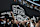 SALT LAKE CITY, UTAH - OCTOBER 08: Fans celebrate a first period goal by Clayton Keller #9 of Utah Hockey Club against the Chicago Blackhawks at Delta Center on October 08, 2024 in Salt Lake City, Utah. This game is the first for the franchise in Utah following their relocation from Arizona. (Photo by Bruce Bennett/Getty Images)