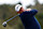 PEBBLE BEACH, CALIFORNIA - JANUARY 31: Sepp Straka of Austria hits a tee shot on the third hole during the second round of the AT&T Pebble Beach Pro-Am 2025 at Pebble Beach Golf Links on January 31, 2025 in Pebble Beach, California. (Photo by Jed Jacobsohn/Getty Images)