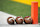 COLLEGE PARK, MD - NOVEMBER 15: Footballs sit lined up on the field before a college football game between the Michigan State Spartans and the Maryland Terrapins at Byrd Stadium on November 15, 2014 in College Park, Maryland. (Photo by Mitchell Layton/Getty Images)