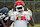 Elite tight end Kendre Harrison could be a transcendent playmaker.