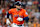 HOUSTON, TEXAS - OCTOBER 02: Alex Bregman #2 of the Houston Astros runs to first base after hitting a single against the Detroit Tigers in the second inning during Game Two of the Wild Card Series at Minute Maid Park on October 02, 2024 in Houston, Texas. (Photo by Alex Slitz/Getty Images)