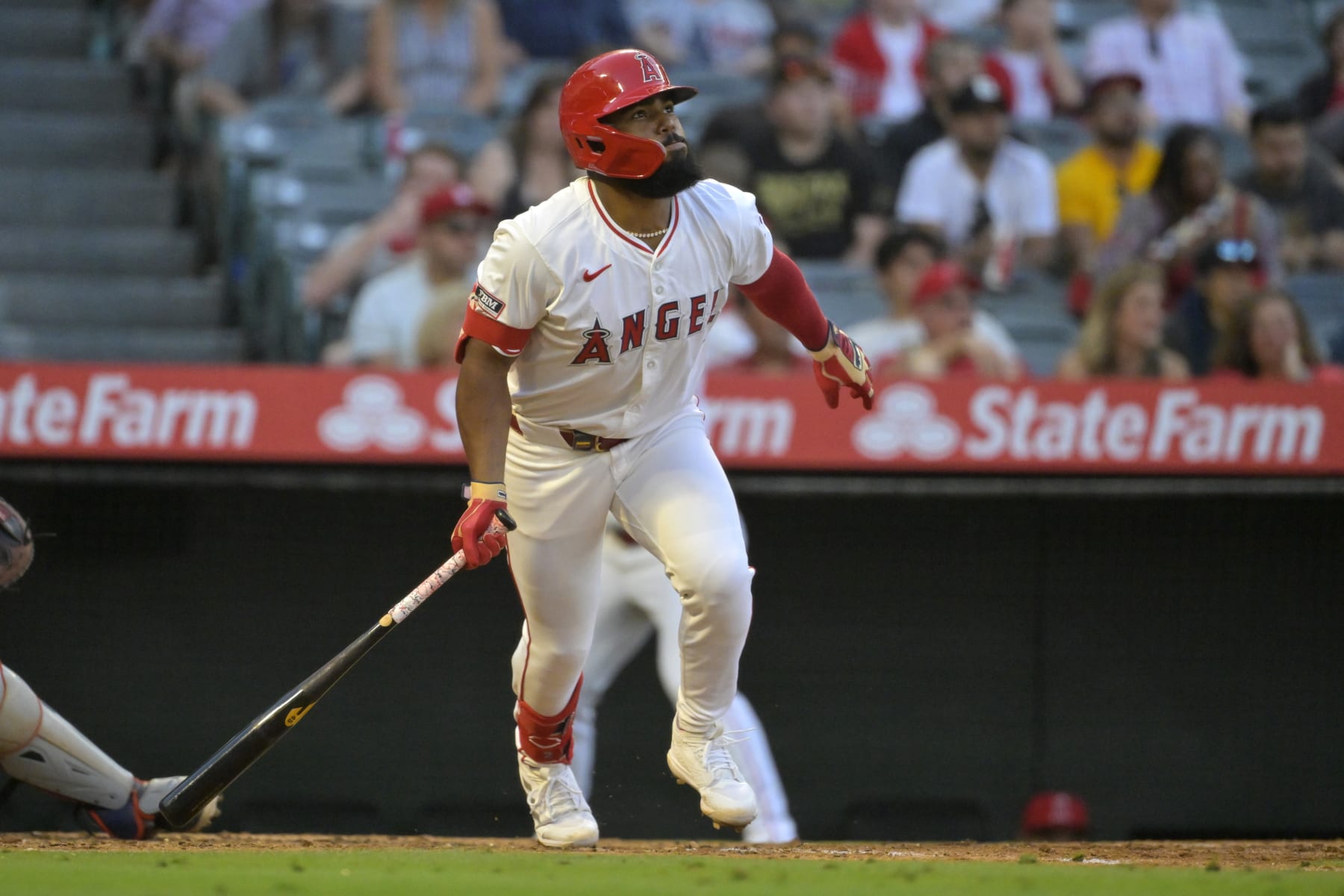 Luis Rengifo