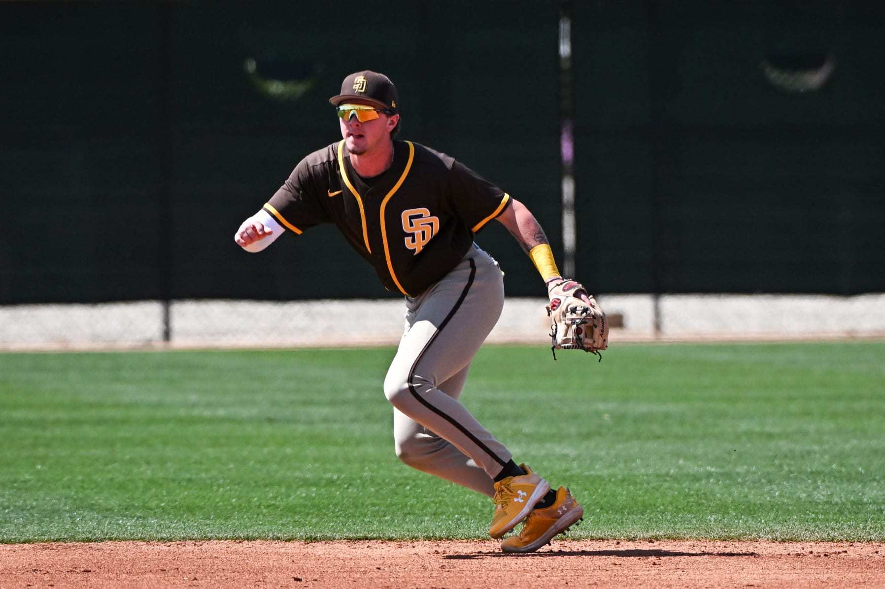 Jackson Holliday Stats & Scouting Report — College Baseball, MLB