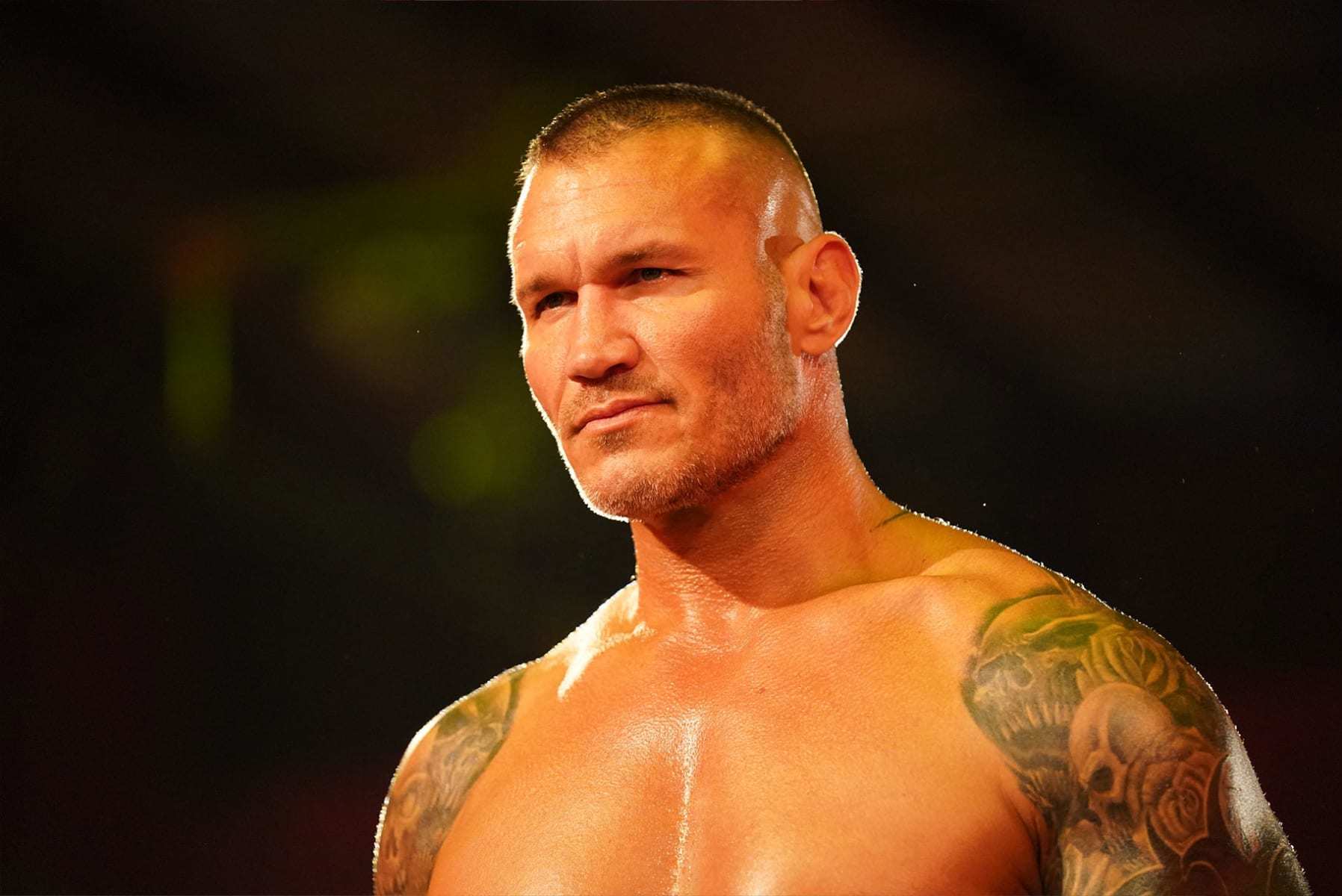 Pin by Madison Young on Dave Batista  Batista wwe, Wrestling superstars,  Wwe