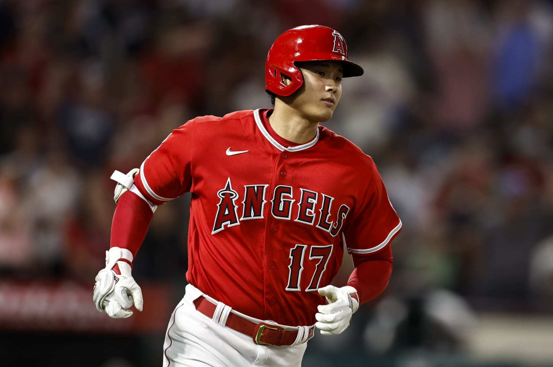 Julio Rodríguez, Wander Franco, Kyle Tucker Among 2023 MLB All-Star Game  Replacements, News, Scores, Highlights, Stats, and Rumors