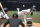 Dylan Cease