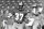 Hall of Fame defensive back Jimmy Johnson of the San Francisco 49ers. (Photo by Dennis Desprois/Getty Images)