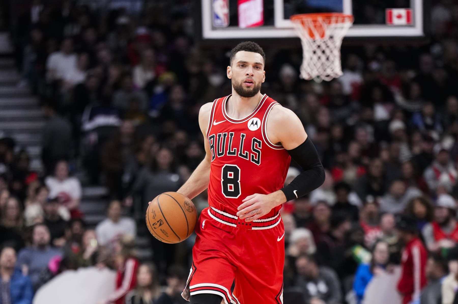 TORONTO, ON - JANUARY 18: Zach LaVine #8 of the Chicago Bulls dribbles against the Chicago Bulls during the second half of their basketball game at the Scotiabank Arena on January 18, 2024 in Toronto, Ontario, Canada. NOTE TO USER: User expressly acknowledges and agrees that, by downloading and/or using this Photograph, user is consenting to the terms and conditions of the Getty Images License Agreement. (Photo by Mark Blinch/Getty Images)