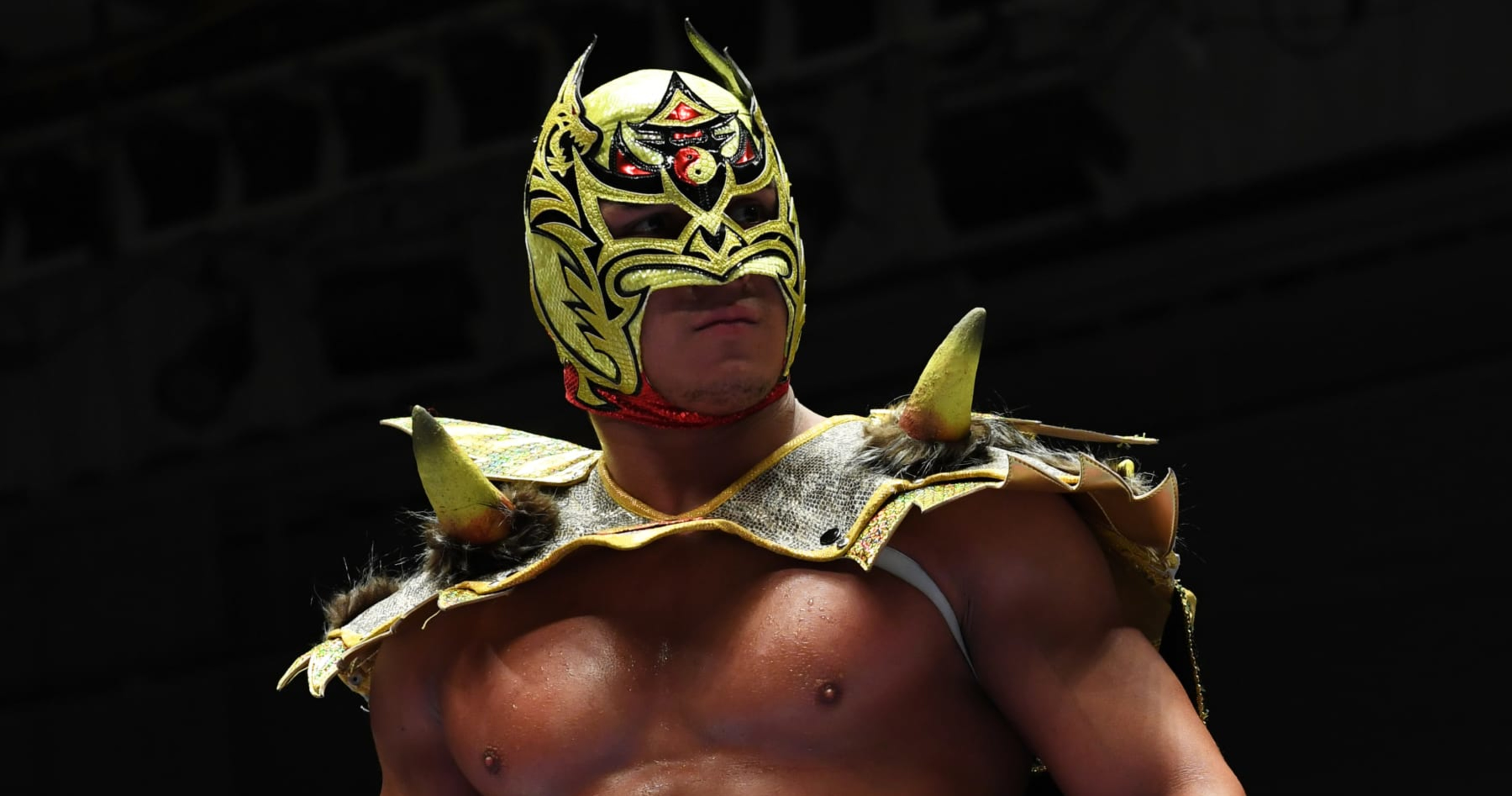 Dragon Lee Agrees to WWE Contract After Being with AEW, ROH; Triple H  Reacts | News, Scores, Highlights, Stats, and Rumors | Bleacher Report