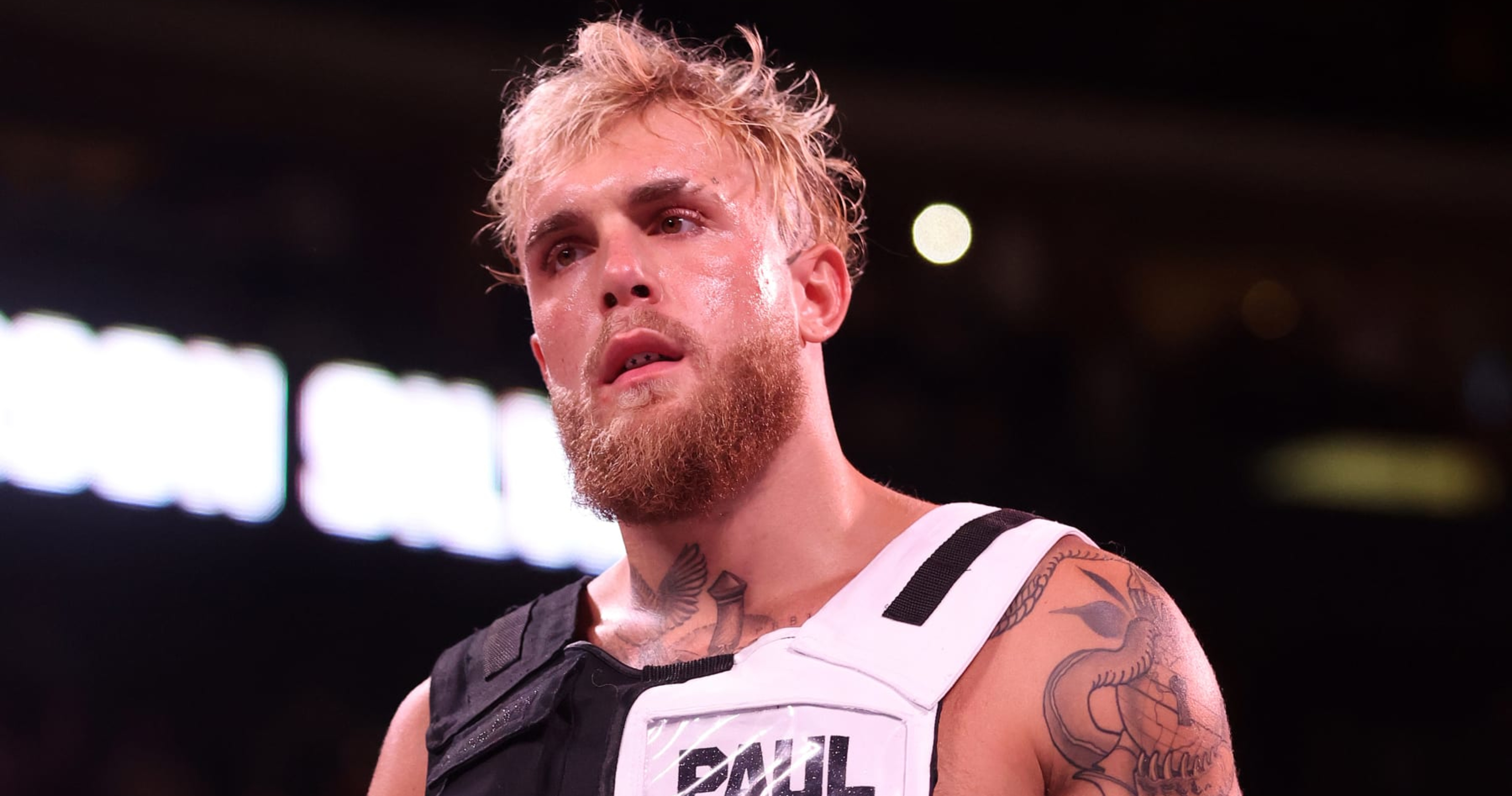 Jake Paul Says He Offered Nate Diaz a 2-Fight Contract for Boxing, MMA ...