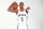 NEW ORLEANS, LA - JULY 9: Dejounte Murray #5 of the New Orleans Pelicans poses for a portrait at the Ochsner Sports Performance Center in Metairie, Louisiana. NOTE TO USER: User expressly acknowledges and agrees that, by downloading and or using this Photograph, user is consenting to the terms and conditions of the Getty Images License Agreement. Mandatory Copyright Notice: Copyright 2024 NBAE (Photo by Derick Hingle/NBAE via Getty Images)