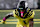 EUGENE, OREGON - OCTOBER 04: Wide receiver Traeshon Holden #1 of the Oregon Ducks runs off the line during the second half of the game against the Michigan State Spartans at Autzen Stadium on October 04, 2024 in Eugene, Oregon. (Photo by Steve Dykes/Getty Images)