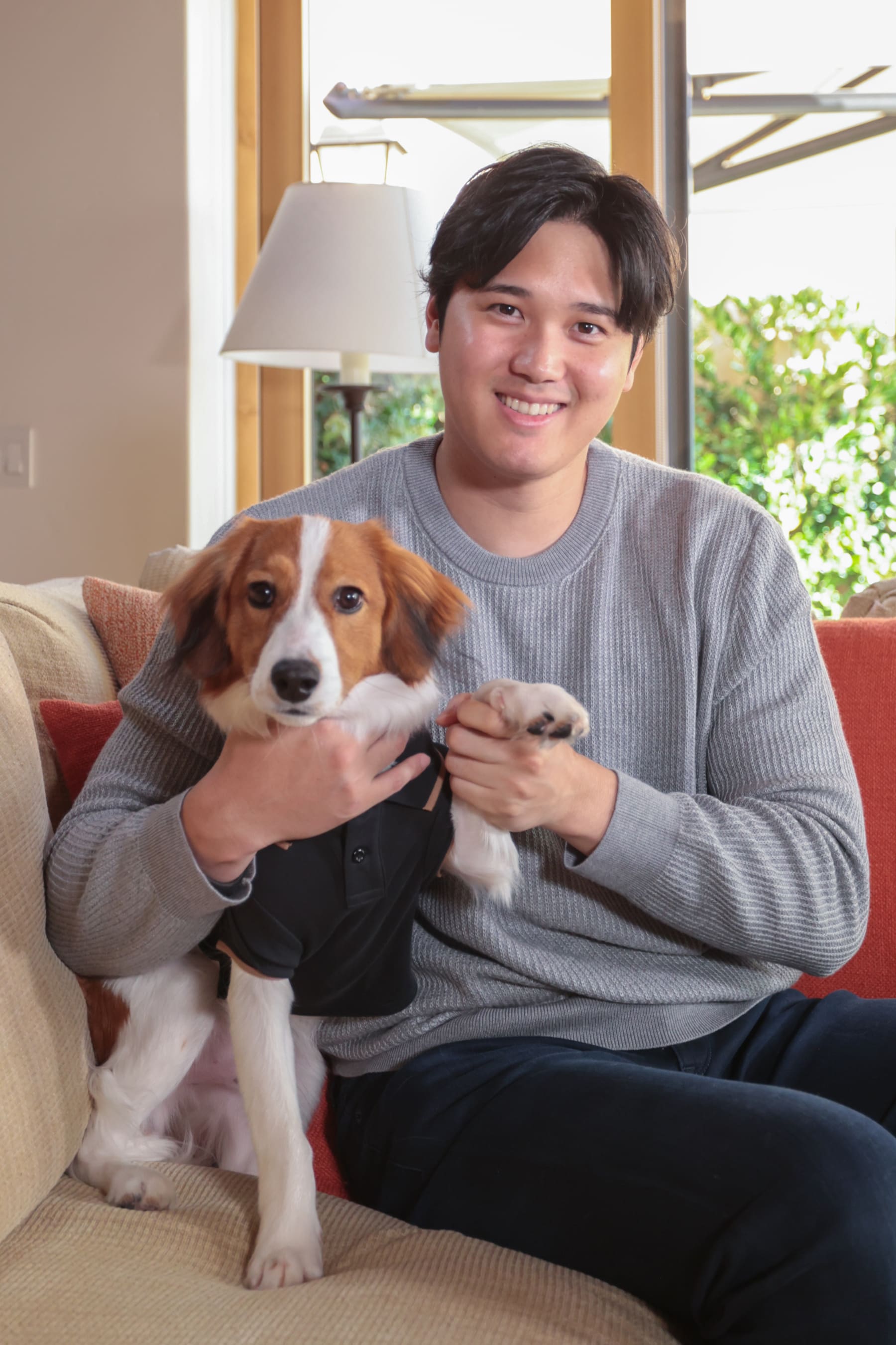 Photo: Dodgers' Shohei Ohtani's Dog Decoy Given Fake Visa by U.S. Embassy - Vimarsana News