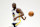 Draymond Green
