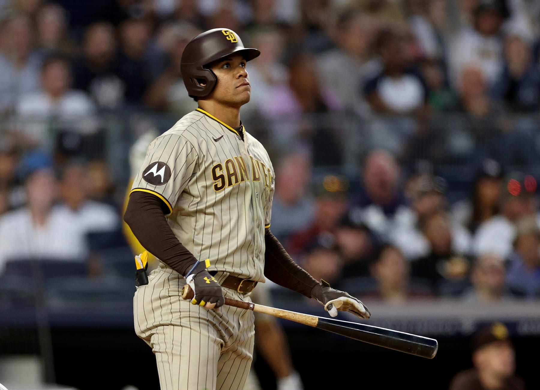 NEW YORK, NEW YORK - MAY 26:  Juan Soto #22 of the San Diego Padres watches his two run home run in the fifth innign against the New York Yankees at Yankee Stadium on May 26, 2023 in Bronx borough of New York City. (Photo by Elsa/Getty Images)