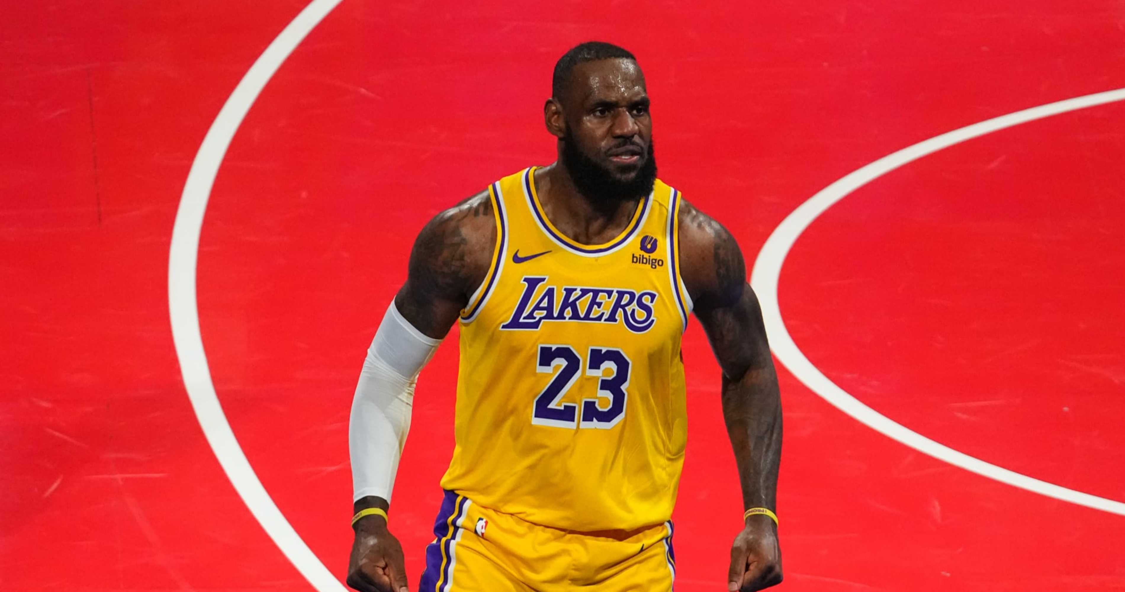 Lebron james 215 on sale stats