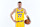 EL SEGUNDO, CA - FEBRUARY 5: Luka Doncic #77 of the Los Angeles Lakers poses for a portrait on February 5, 2025 at UCLA Health Training Center in El Segundo, California. NOTE TO USER: User expressly acknowledges and agrees that, by downloading and or using this photograph, User is consenting to the terms and conditions of the Getty Images License Agreement. Mandatory Copyright Notice: Copyright 2025 NBAE (Photo by Adam Pantozzi/NBAE via Getty Images)