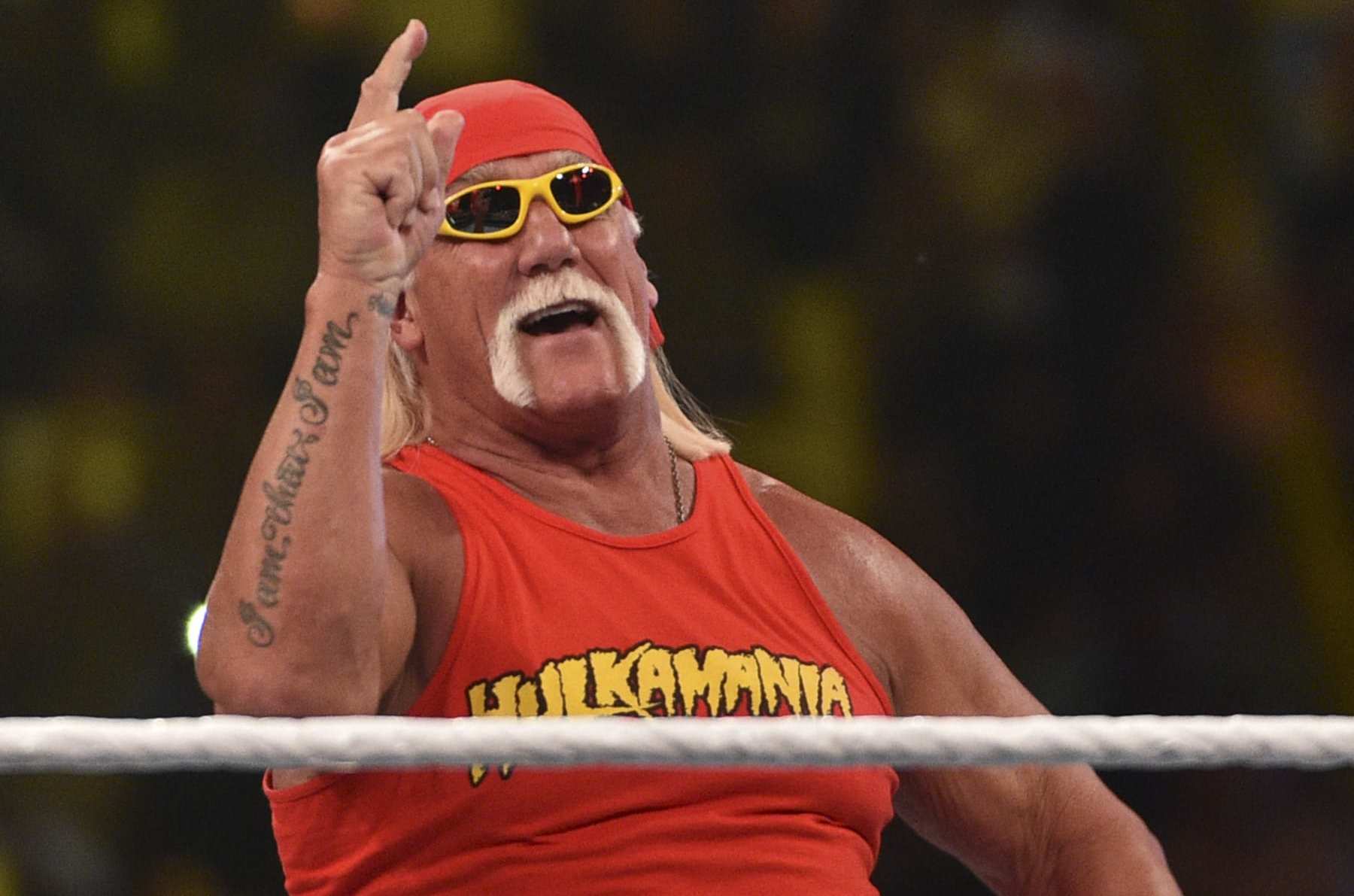 Wwe hulk discount hogan news