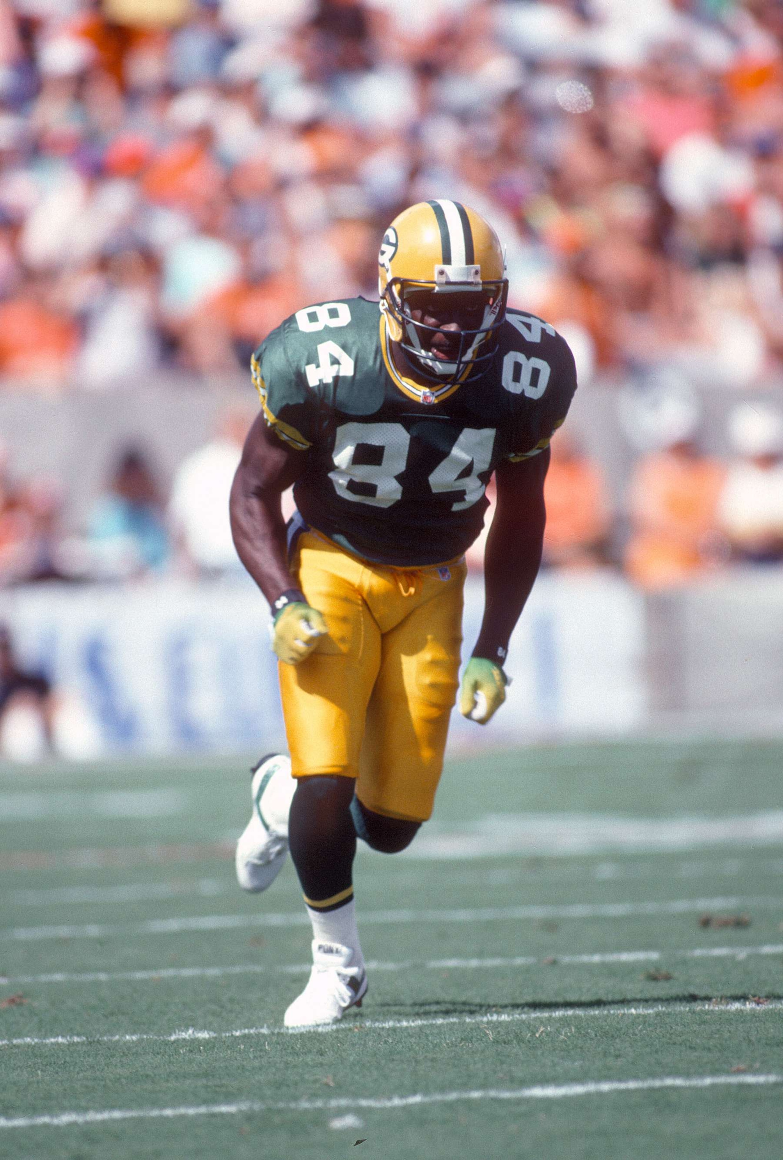TAMPA BAY, FL - SEPTEMBER 13:  Sterling Sharpe #84 of the Green Bay Packers in action against the Tampa Bay Buccaneers during an NFL football game September 13, 1992 at Tampa Stadium in Tampa Bay, Florida. Sharpe played for the Packers from 1988-94. (Photo by Focus on Sport/Getty Images)