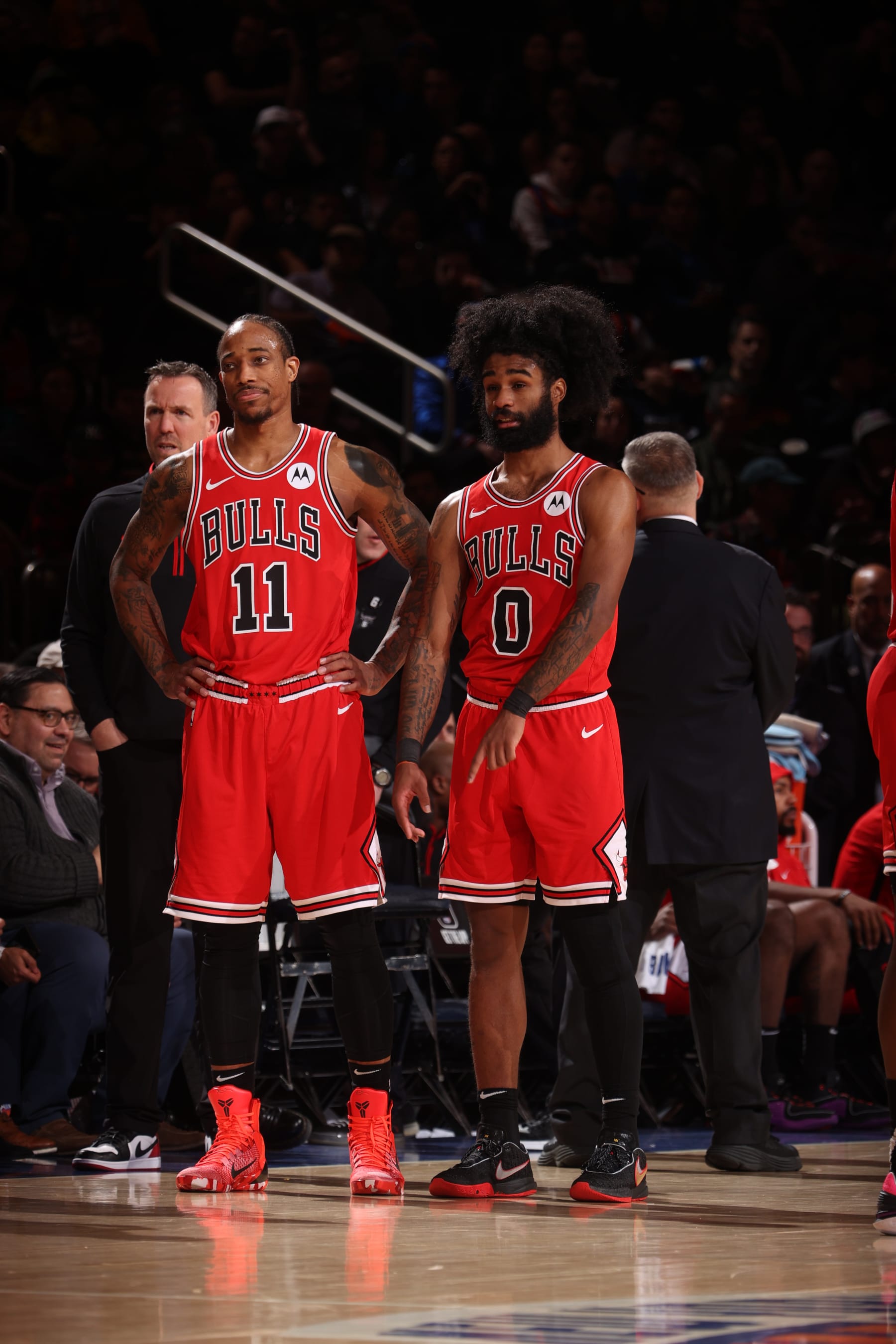 bulls championship