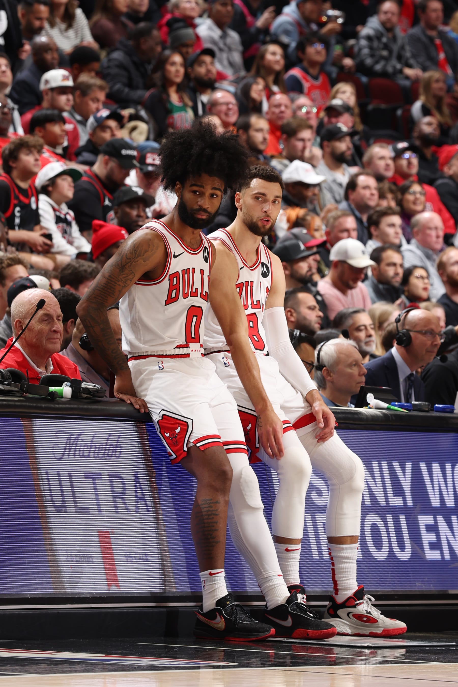 CHICAGO, IL - NOVEMBER 20: Zach LaVine #8 and Coby White #0 of the Chicago Bulls looks on during the game against the Miami Heat on November 20, 2023 at United Center in Chicago, Illinois. NOTE TO USER: User expressly acknowledges and agrees that, by downloading and or using this photograph, User is consenting to the terms and conditions of the Getty Images License Agreement. Mandatory Copyright Notice: Copyright 2023 NBAE (Photo by Jeff Haynes/NBAE via Getty Images)