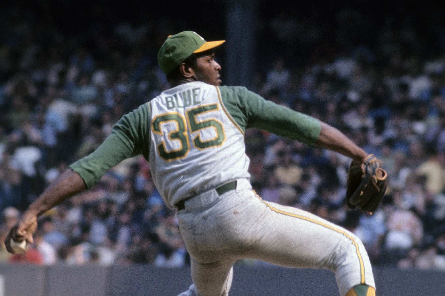 Vida Blue